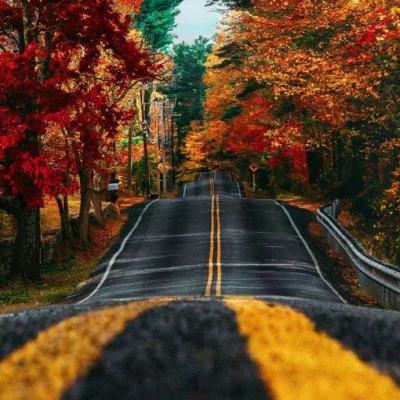 博鱼综合app官网登录