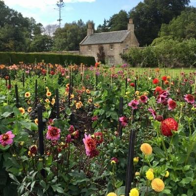 凯发游戏手机app下载