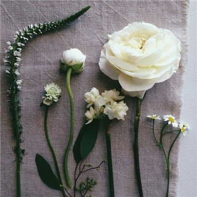 半岛综合体育·官方网站