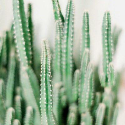 天博体育官方平台入口